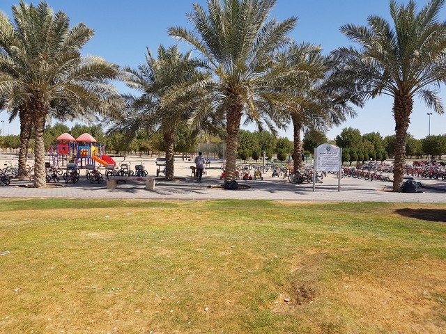 حديقة الروضة الرياض