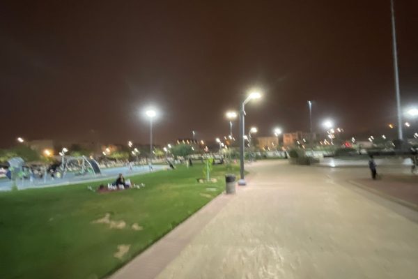 حديقة النخيل الرياض – (الموقع + مواعيد العمل +الخدمات)