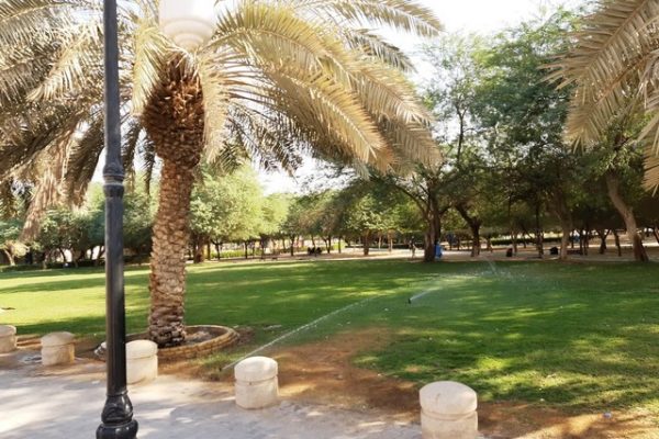 حديقة محمد بن القاسم الرياض – (الموقع + مواعيد العمل +الخدمات)
