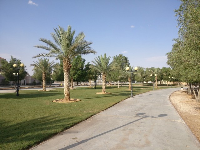 حديقة ومنتزه حي الندى الرياض