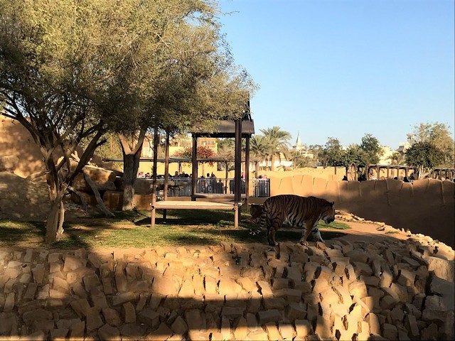 موقع حديقة الحيوانات الرياض