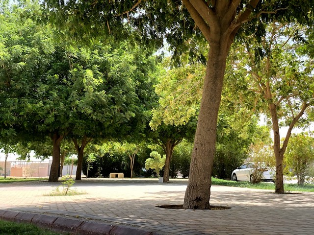 موقع حديقة الهدا الرياض
