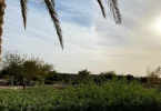 موقع منتزه وبحيرات الحائر الرياض