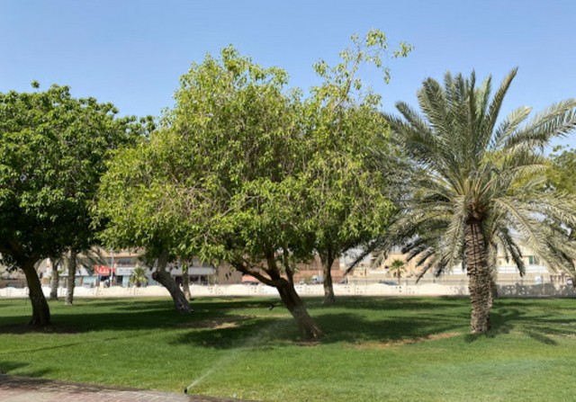 حديقة الأمير عبدالمحسن بن جلوي الدمام