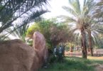 حديقة الأمير محمد بن عبد العزيز المدينة المنورة