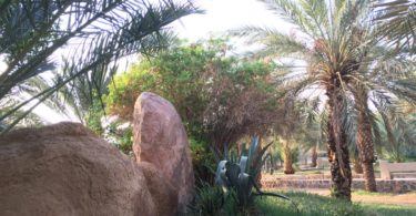 حديقة الأمير محمد بن عبد العزيز المدينة المنورة