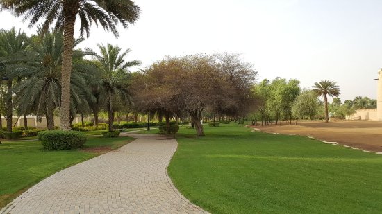 حديقة الجاهلي ابوظبي