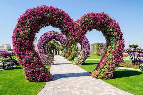 حديق الزهور دبي
