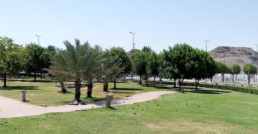 حديقة الملك فهد المركزية