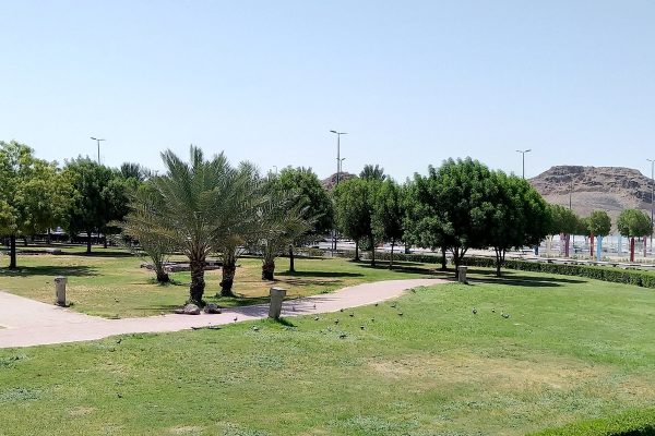 حديقة الملك فهد المركزية المدينة المنورة – (الموقع + مواعيد العمل +الخدمات)