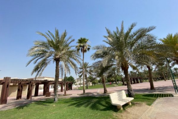 حديقة الأمير عبدالمحسن بن جلوي الدمام – (الموقع + مواعيد العمل +الخدمات)