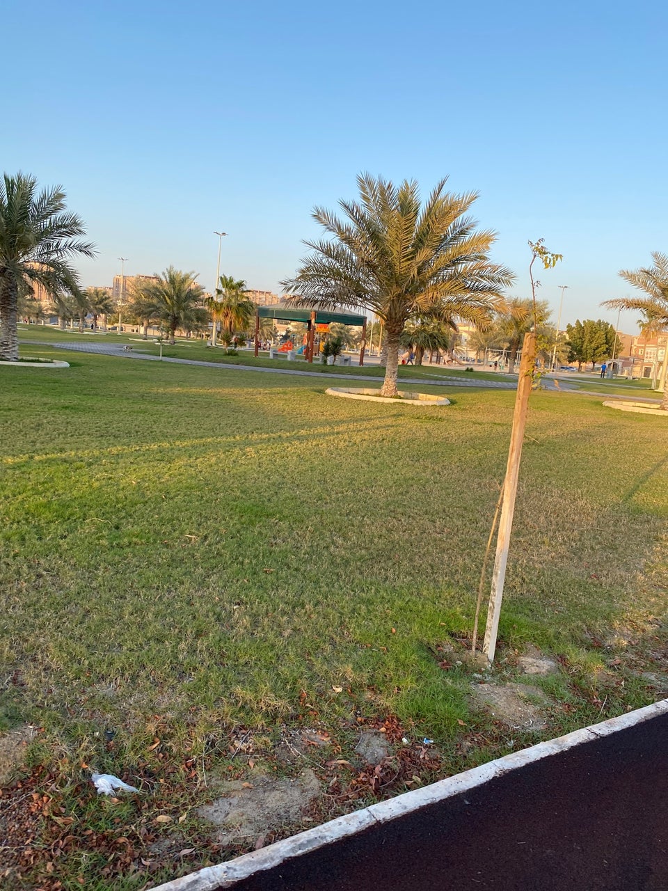 حديقة بحيرة القصيص دبي