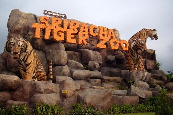 حديقة النمور باتايا – (الموقع + مواعيد العمل +الخدمات)