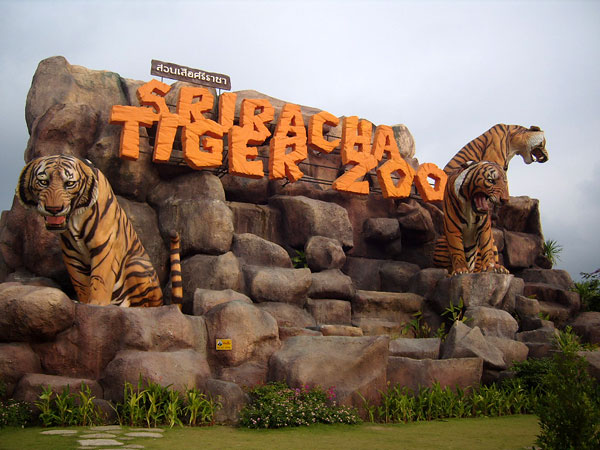 حديقة النمور باتايا