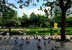 حديقة بنشاسيري بانكوك
