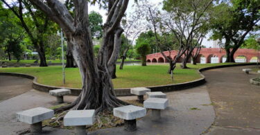 حديقة شاتوشاك بانكوك