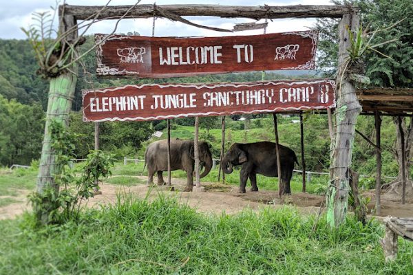 حديقة Elephant Jungle Sanctuary شنغماي – (الموقع + مواعيد العمل +الخدمات)
