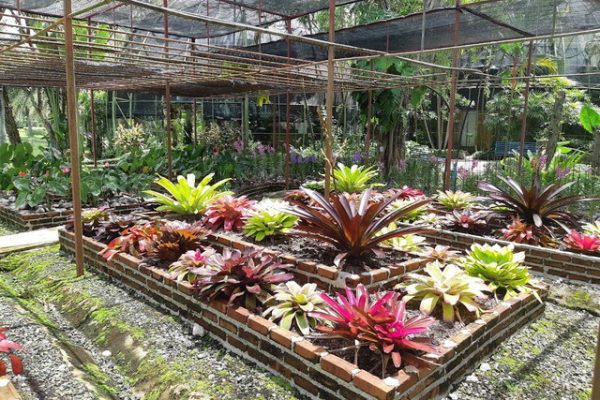 حديقة تويكول النباتية شنغماي – (الموقع + مواعيد العمل +الخدمات)