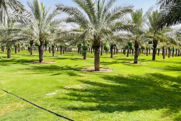 حديقة الفنار الرياض – (الموقع + مواعيد العمل +الخدمات)
