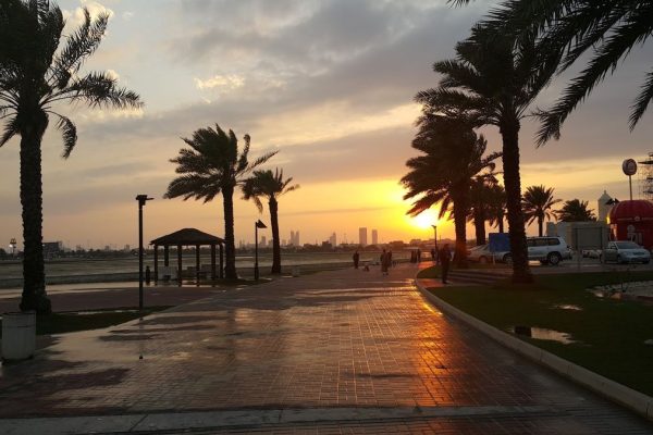 منتزه ومحمية دوحة عراد البحرين – (الموقع + مواعيد العمل +الخدمات)