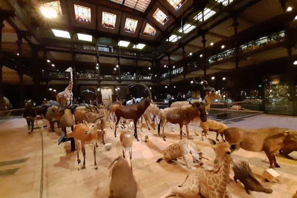 المتحف الوطني للتاريخ الطبيعي باريس